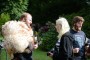 Thumbs/tn_Vrijdag Castlefest 2015 139.jpg